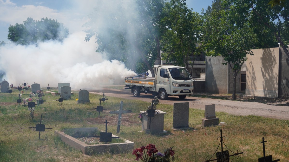 Siguen los Operativos de Limpieza y Fumigación para Prevenir el Dengue ...